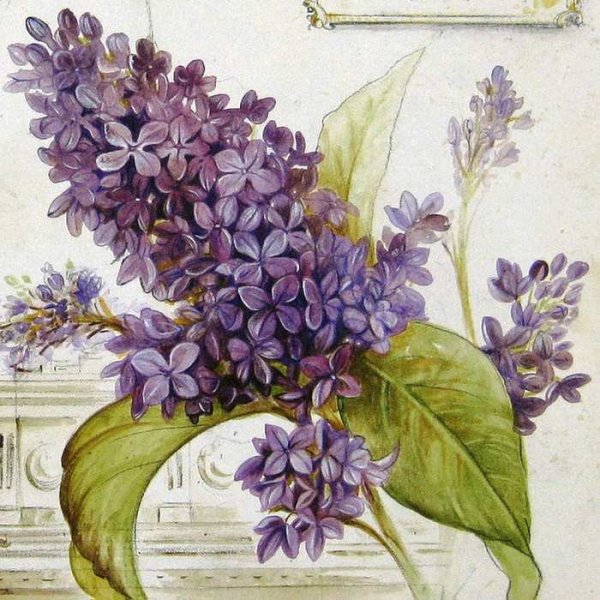 Angela Staehling)художник Прованса