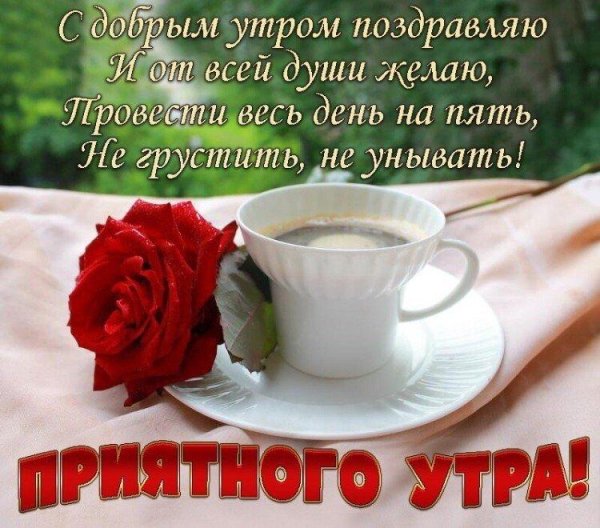 Доброе утро с цветами и пожеланиями