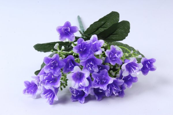 Кампанула платикодон