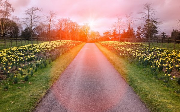 Красивые дороги Весна