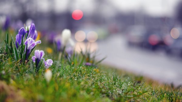 Апрель природа