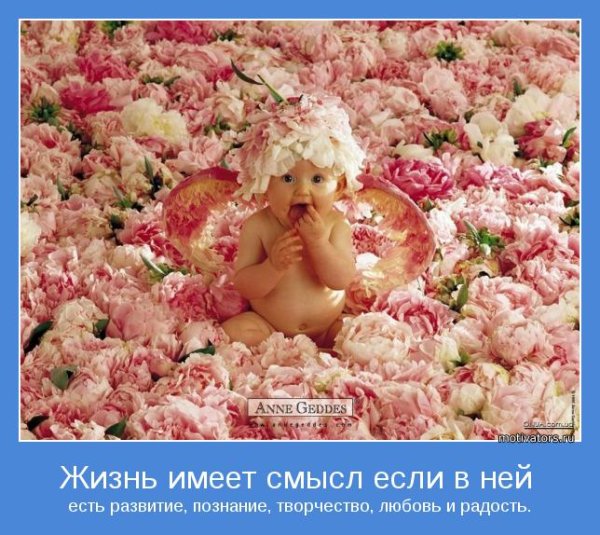 Младенец в цветке