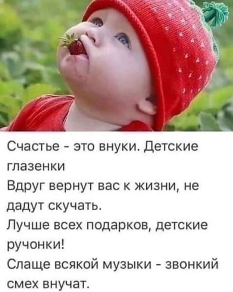 Дети цветы жизни прикол