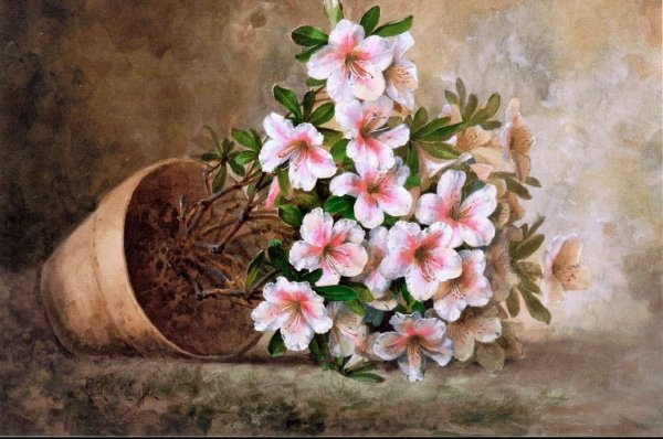 Художник Paul de Longpre 1855 1911