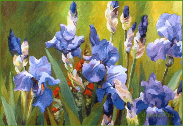 Клод Моне ирисы в Живерни