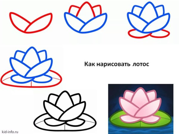 Цветы для срисовки лёгкие карандашом