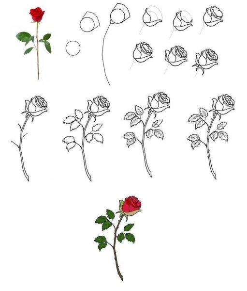 Рисунки для срисовки лёгкие