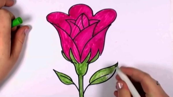 Рисунки для срисовки роза легко