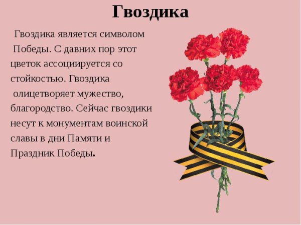 Гвоздика символ Победы