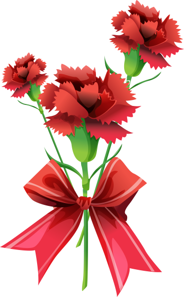 23 Февраля гвоздики