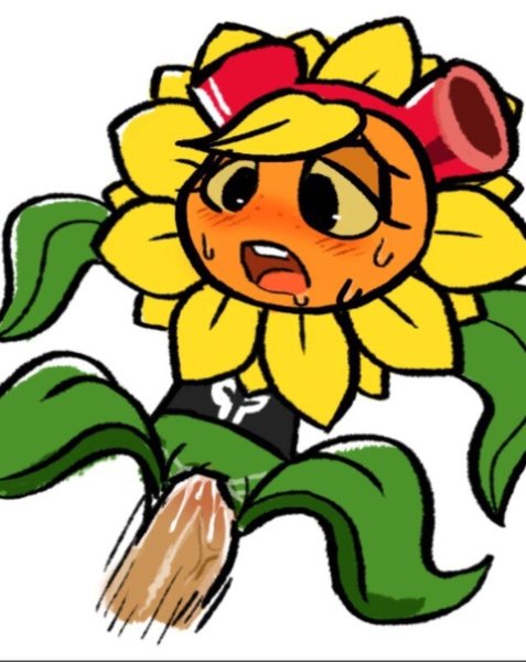 PVZ Solar Flare 34