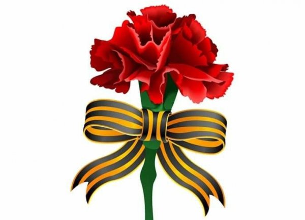 Гвоздики с георгиевской лентой