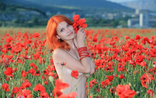 Желто оранжевые цветы