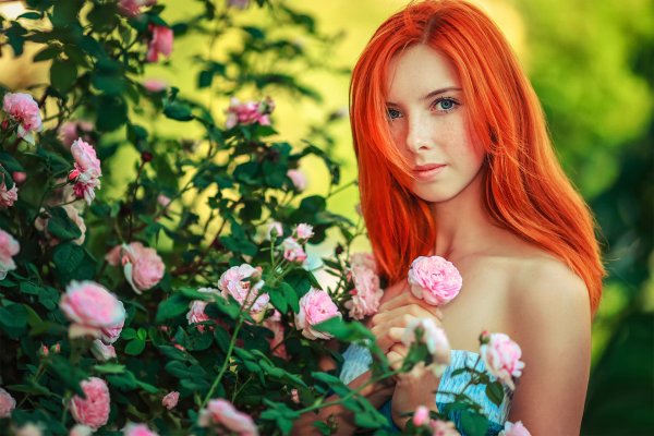 Красный цвет в природе