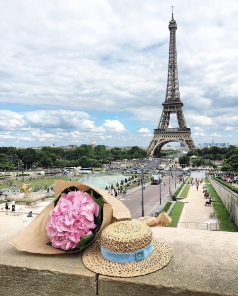 Paris с цветами