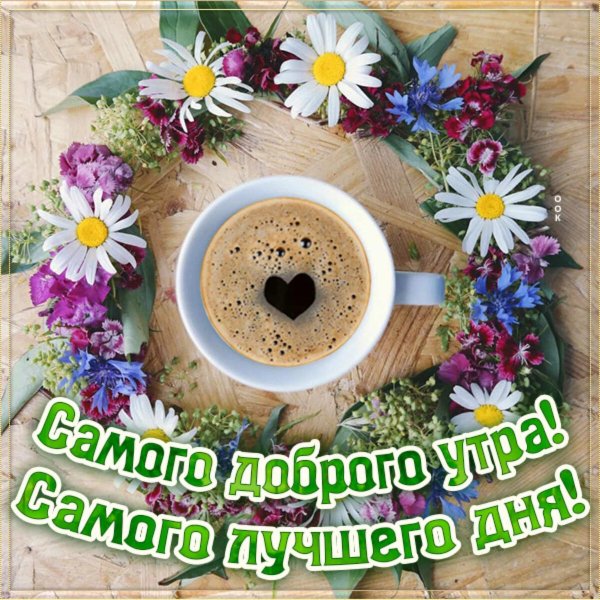 С добрым утром цветы пожелания