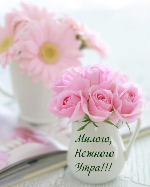 Цветочная композиция в чашке