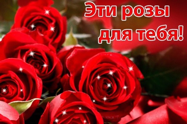 Розы для тебя