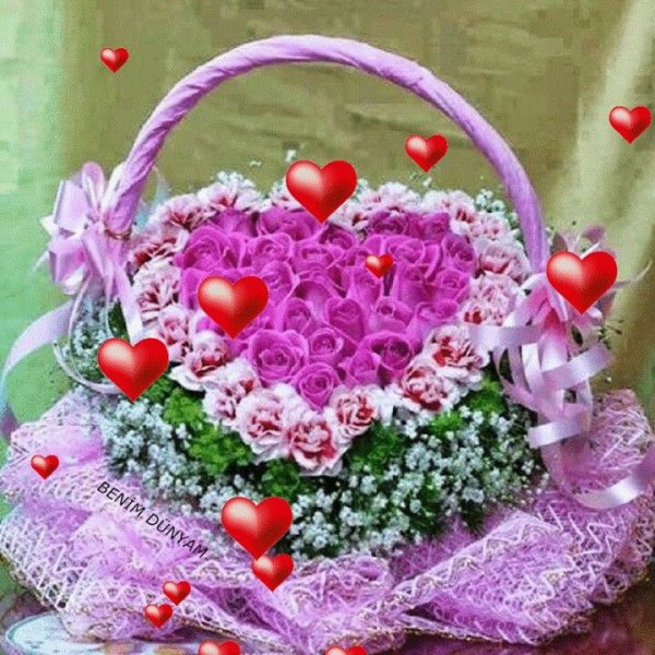 Цветы для Ксюши