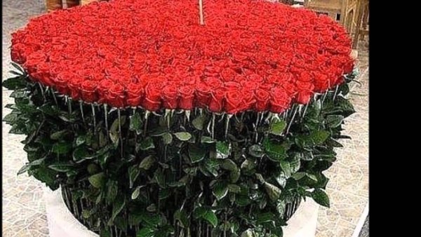 Огромный красивый букет