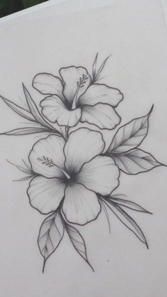 Рисунки цветов карандашом