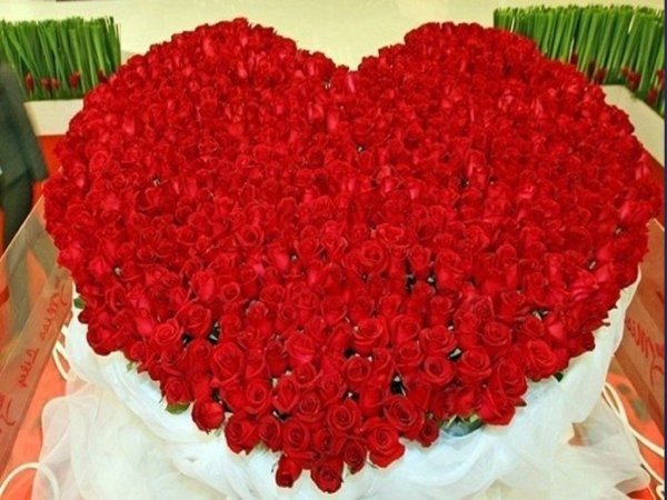 Букет из 1001 розы
