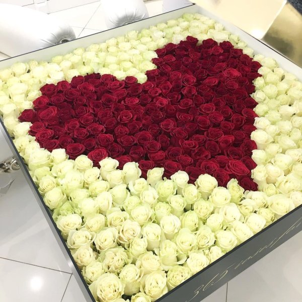 Букет 10001 роза