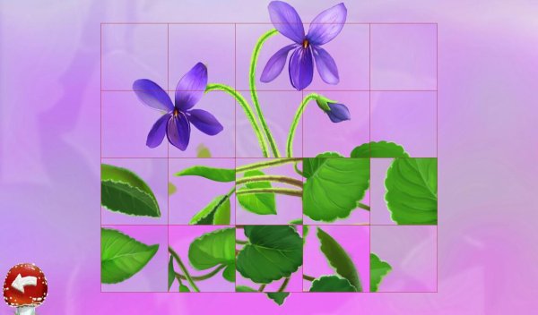 Разрезные картинки цветы