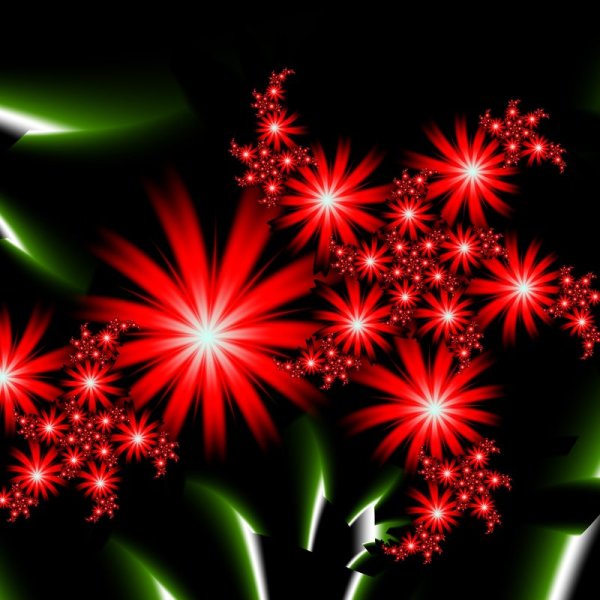 Цветы салют