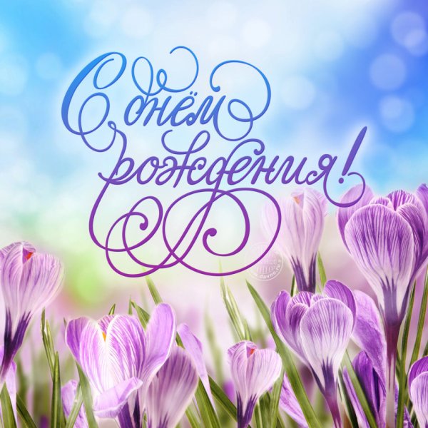 С днем рождения цветы