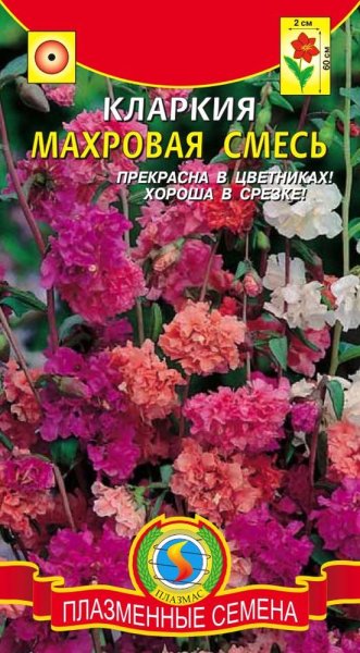 Семена кларкия махровая смесь