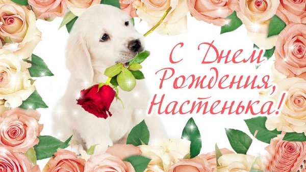 С днём рождения Настя