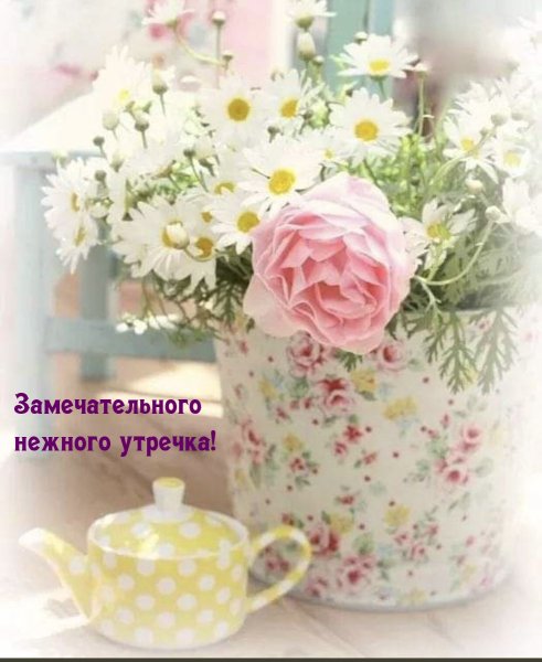 Утренние цветы
