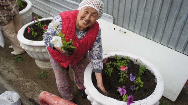 Бабушки в огороде с цветами