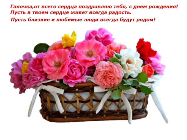 С днём рождения галочка