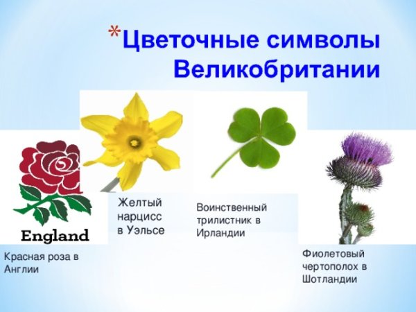 Цветочные символы Великобритании