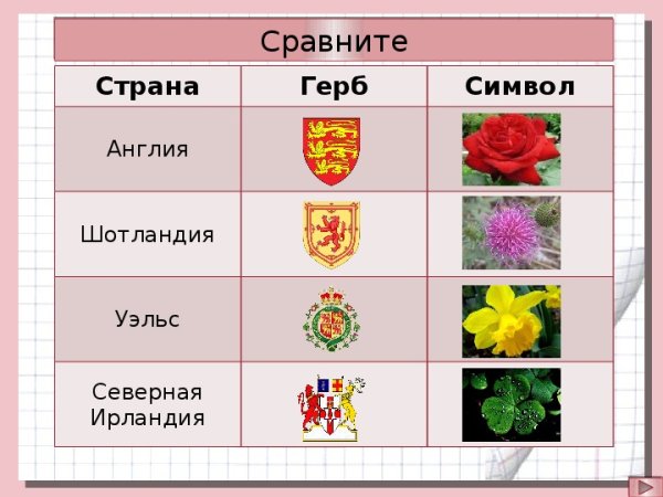 Гербы Англии Шотландии Уэльса и Северной Ирландии