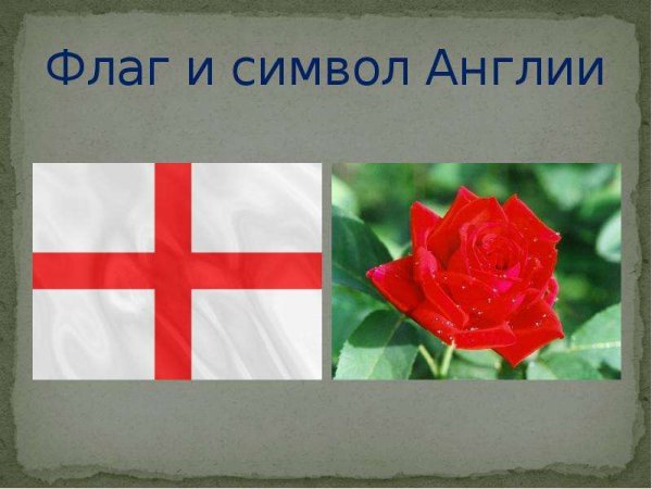 Цветы символы Великобритании