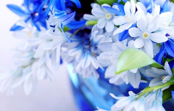 Обложка для одноклассников голубая