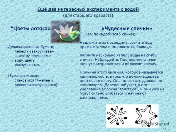Цветы лотоса опыты с водой