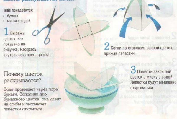 Цветы лотоса опыт с бумагой
