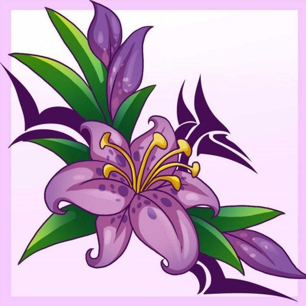 Лилия рисунок