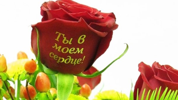 Говорящие цветы
