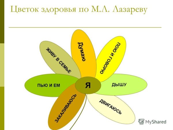 Цветок здоровья