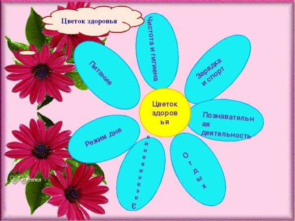 Цветок здоровый образ жизни