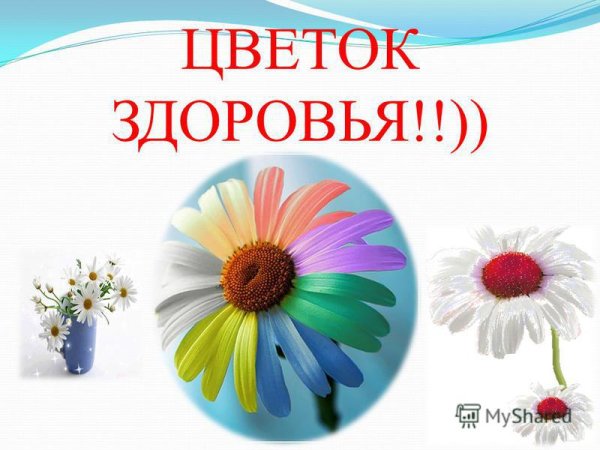 Цветы здоровья и счастья
