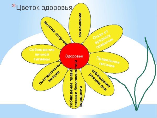 Белые цветы в руках