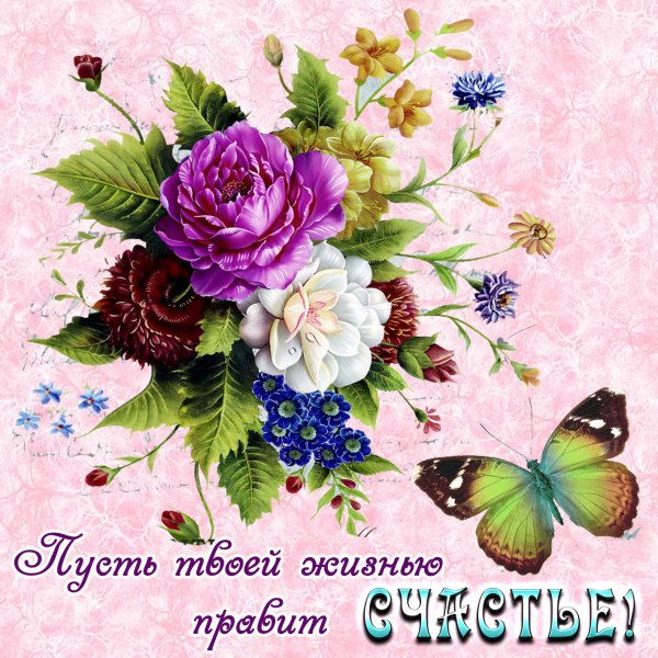 Цветы для тебя моя дорогая