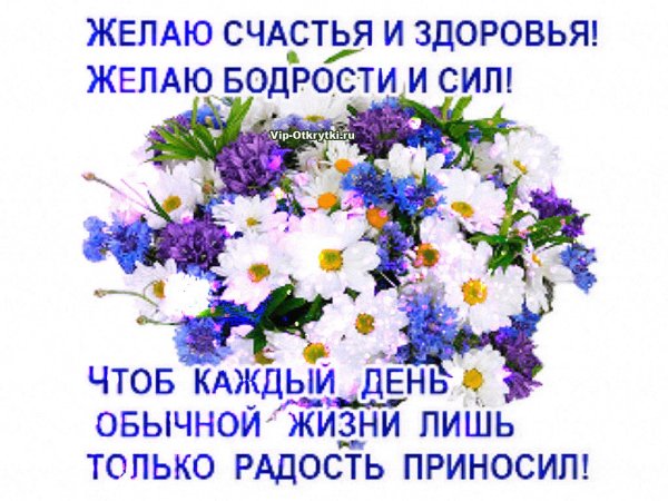 Ромашка с пожеланиями