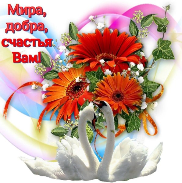 Открытки с пожеланиями здоровья и счастья